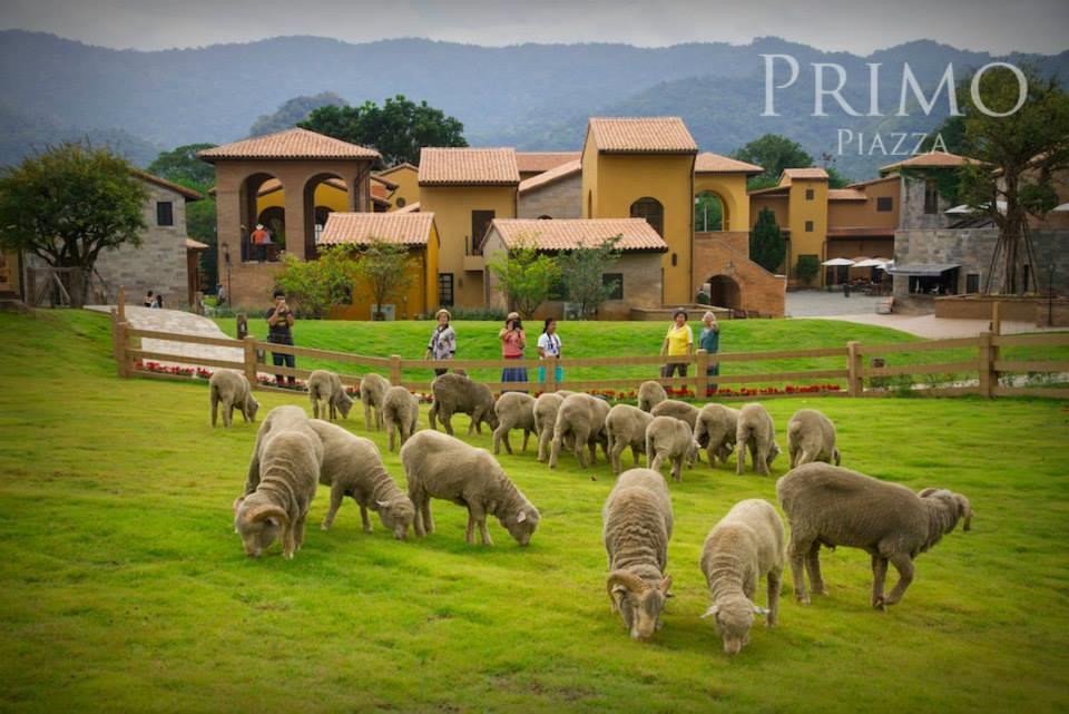 Primo Piazza Khao Yai Primo Piazza Khaoyai paints an unforgettable impression of tranquility - a place where leisure harmonizes with nature.