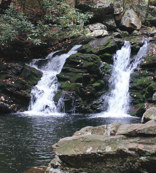 14 Gee Creek Falls (25 feet) Cherokee National Forest: Gee Creek Wilderness Benton, TN (Polk Co.