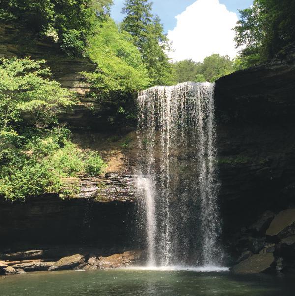 25-mile round-trip hike along the Greeter Falls Loop Trail to experience both the upper and lower sections of Greeter Falls, as well as Boardtree Falls.