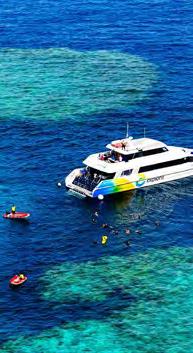 Swimwear and towel Sunscreen, sunglasses and hat Adults: $245, Children (5-17yrs): $145 Camera and/or video camera Light jacket for cooler months EXPLORE GROUP Full day tour Snorkelling and dive gear