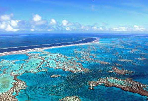 GSL AVIATION REEF SCENIC HELICOPTER TOUR (H4) It s easy to understand why the Great Barrier Reef is one of the seven natural wonders of the World, the amazing contrast of colours is something that s