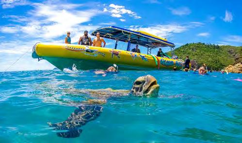 Each Ocean Rafting day offers three days in one, including an exhilarating ride to Whitehaven Beach and Hill Inlet, pristine snorkelling reefs and guided Whitsunday Island National Parks walks.