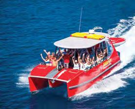 RED CAT ADVENTURES RED CAT ADVENTURES 350 Shute Harbour Road, Airlie Beach, QLD, 4802 Red Cat Adventures is a multi-state and regional award winning Australian owned charter boat company providing