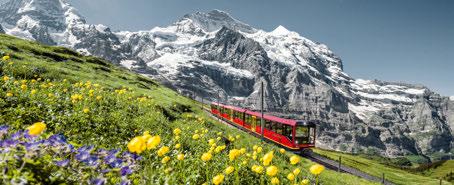 Full day excursion to Junfraujoch Full day excursion to Tirano Italy including half fare Swiss card (upgrade to 1st class available on request) 7 nights 3-star accommodation (upgrades available on