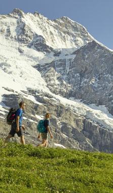 star accommodation 7 breakfasts & dinners 6 packed lunches to take hiking Rail travel in 2nd class including half-fare card 6-day Jungfrau Travel Pass covering the mountain railways of the Jungfrau