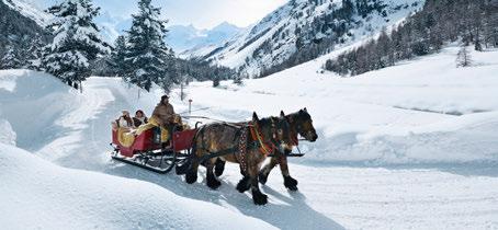 WINTER DISCOVERY 8 days / 7 nights SELF GUIDED RAIL JOURNEY FRANCE Basel Schaffausen Zurich St.