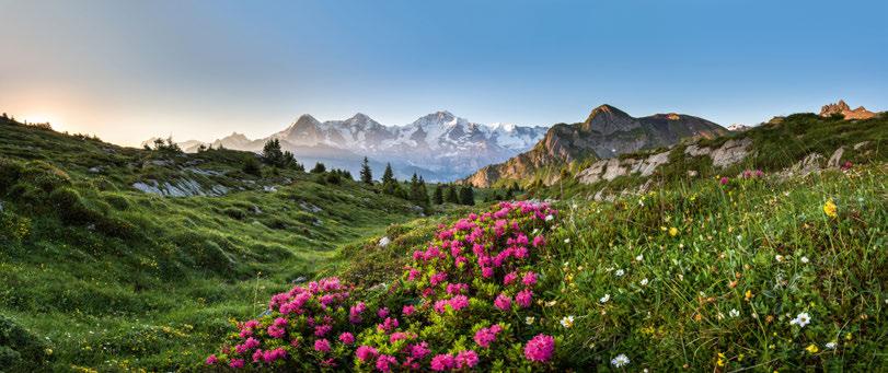 COUNTRY COMBINATIONS LAKES & MOUNTAINS 12 days / 11 nights SELF GUIDED RAIL JOURNEY $3125 * FRANCE Lucerne Zurich St.