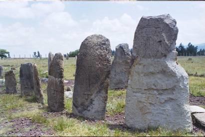 This pre-historic site houses more than 30 different carved stelae, and is probably an ancient burial ground. Then drive towards the Ethiopian main rift valley district.
