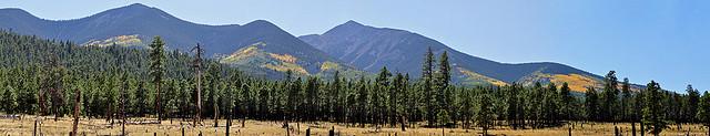 COCONINO NATIONAL FOREST FLAGSTAFF RANGER DISTRICT Caring for the Land and Serving People Biological Science Technician Plants GS-0404-06/07 Permanent Seasonal 18/8 or Permanent Full-Time Permanent