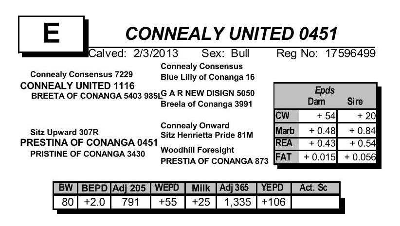 A Calved: 1/25/2012 Sex: Bull Reg No: 17304095 Connealy Front Page 0228 KESSLERS FRONTMAN R001 KESSLERS BELL 0024 CONNEALY RIGHT ANSWER 6 JAIS OF CONANGA 9585 JASE OF CONANGA 4660 CONNEALY FRONTMAN