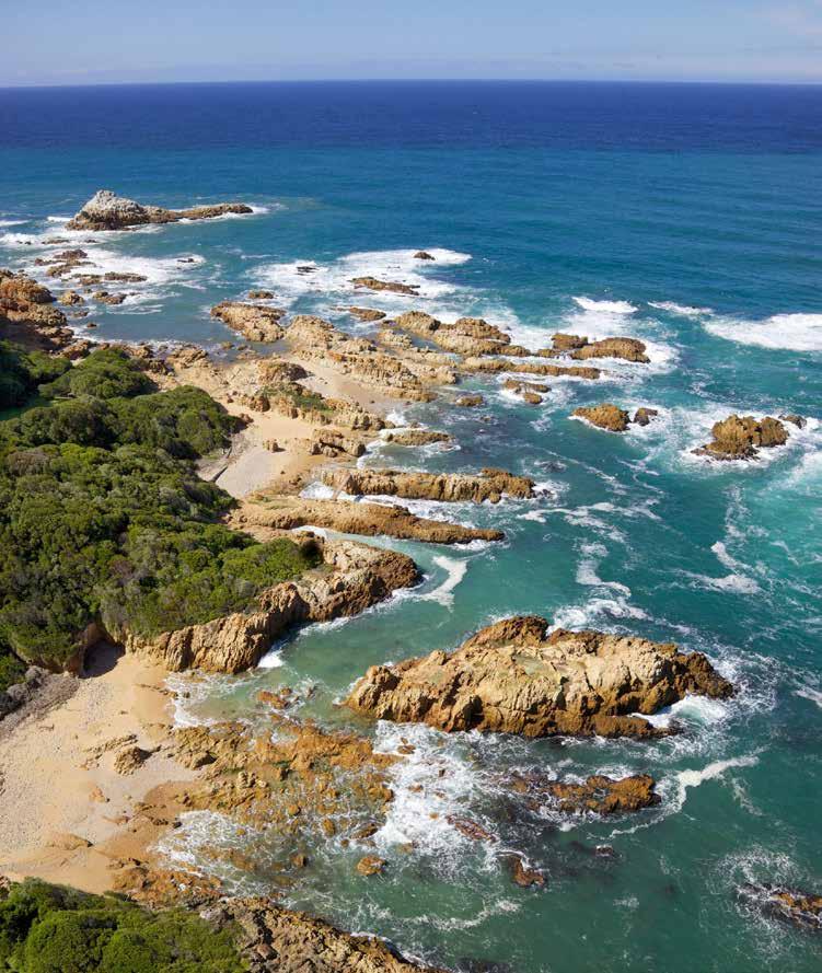YOUR TOUR DOSSIER BEST OF SOUTH AFRICA TRIP OVERVIEW With landscapes stretching from the majestic plains of the savannah to the breathtaking coastline of the Cape and wildlife, arguably unsurpassed