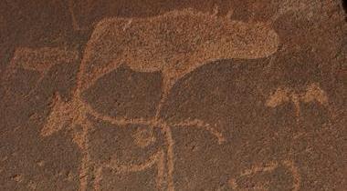 DAY 6 : TWYFELFONTEIN Climb into an open air vehicle and experience