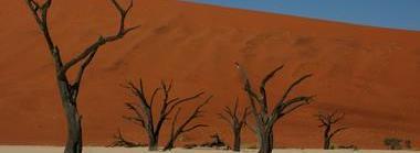 This awe inspiring destination is possibly Namibia's premier attraction, with its unique dunes rising to almost 400 meters