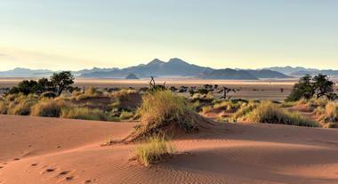 Founded to conserve the unique environment and wildlife species of the south-western Namib Desert, the park s mix of dunes, mountains, rocky outcrops,