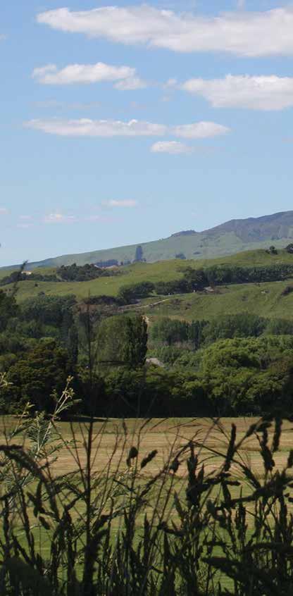 Introduction The Ashhurst Domain lies just 14 kilometres east of Palmerston North on State Highway 3, nestled beside the Manawatu River and the Ashhurst township.