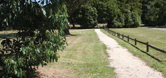 Before You Walk Choose from a range of easy to moderate walks. Access to the Domain is via the Cambridge Avenue car-park on SH3 or from the layby besides the SH3 Manawatu River bridge.