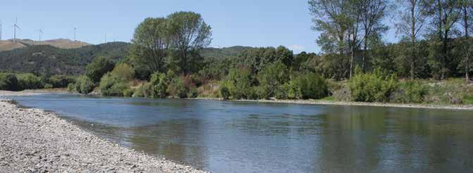 Now get int o it! In summer take refuge in the cooling waters of the Manawatu River. You can get to the river using the vehicular access past the main entrance, before the bridge.