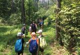 6 & 7 year old campers $350 per week We spend time hiking, exploring, building with natural objects, playing games, journaling, visiting the stream and doing a few art projects, too. Camp day is 9 a.