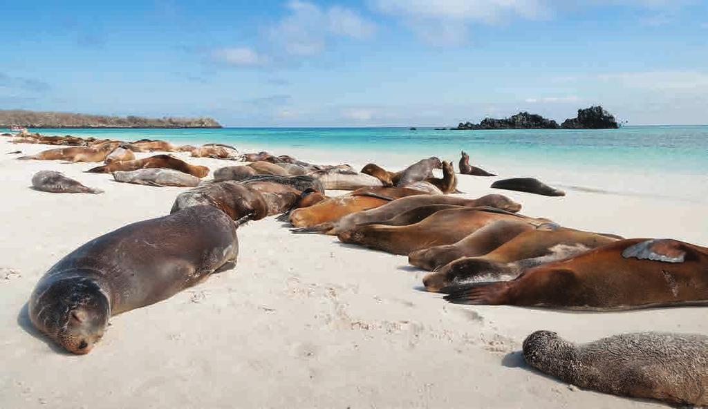 ECUADOR & THE GALAPAGOS TOUR DOSSIER Credit Card Information As normal practice you will be asked for your credit card details on check-in at the hotel in order to cover any extras incurred during