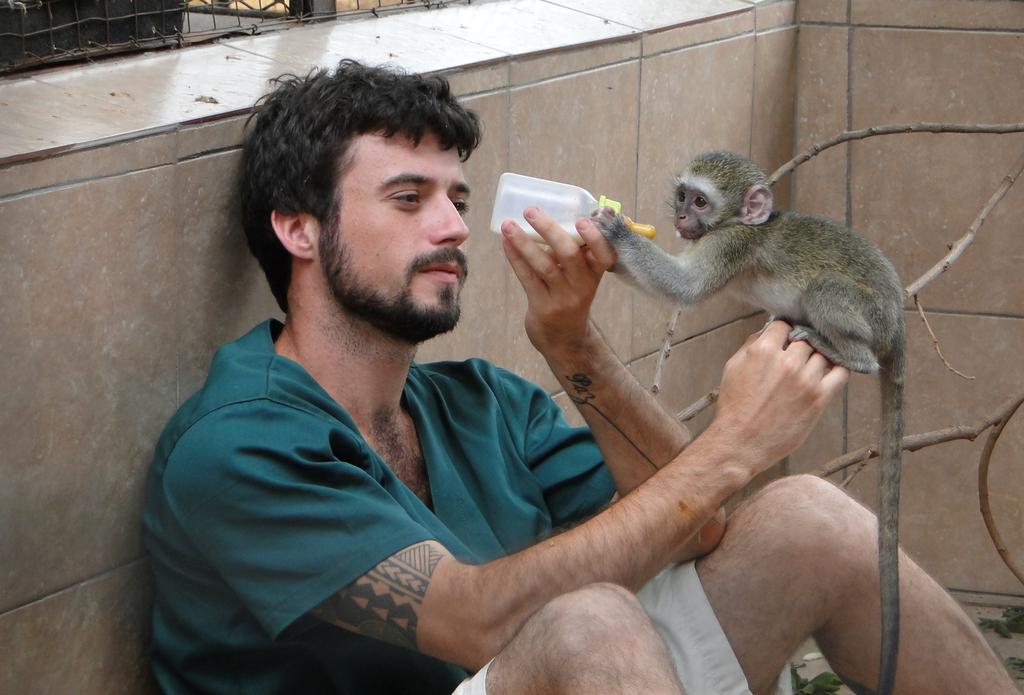 Trip Highlights Experience the satisfaction of nursing monkeys back to health during their stay in monkey rehab Become a part of a dedicated team and meet new monkey-minded mates, as you work to look