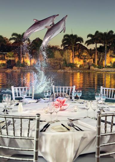 SEA WORLD Events can happen virtually anywhere in Australia's premiere marine animal park, from sun-up to way after sun-down when the night sky