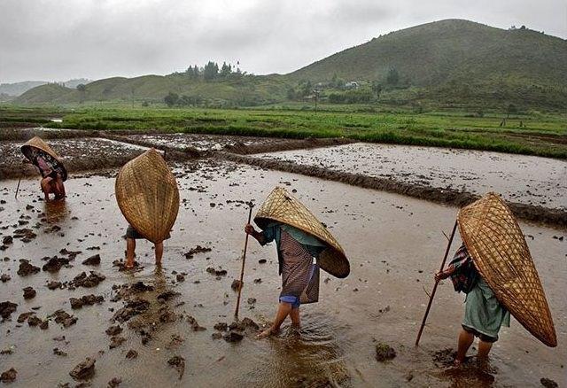 The wettest place in the world Mawsynram, India This region in the Indian subcontinent enjoys an average