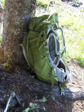 more comfortable than other packs I own when worn high on my hips. The curvature of the frame also impacts my comfort.