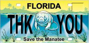 Congratulations for participating in the Manatee Cultural Art Treasure Quest! The FWC s Imperiled Species Management Manatee Program hopes you enjoyed your Quest.