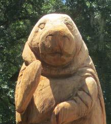 Next, look for a large manatee carved out of an old tree that is easily seen from the road. The carving was completed in April 2016.