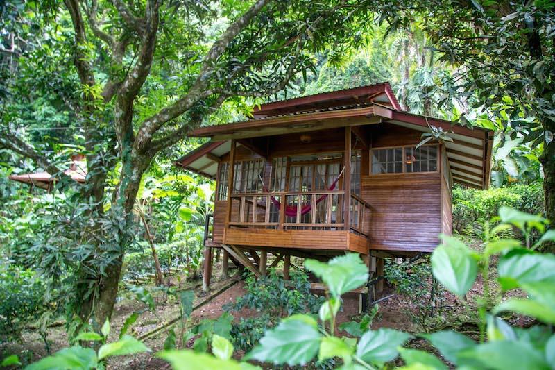 Inclusions: Five night accommodations private bungalows at Samasati Two nights at the boutique Don Carols Hotel in San Jose Airport Transfers In-country transportation All meals at Samasati Nature