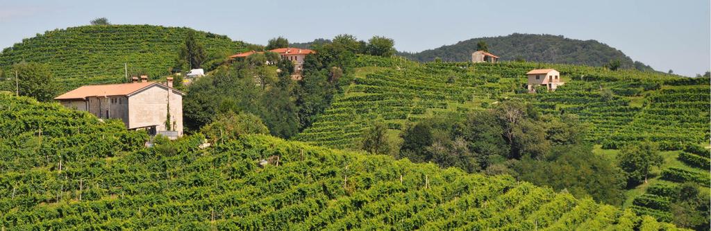 region Peaceful roads, country lanes and lovely bike paths Delicious regional culinary specialties Taste the famous grappa liqueur and the great Prosecco wine Cycle along the River Sile through the