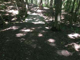 $ 37 Trail (Near Near Fitness Station 5) Recommend