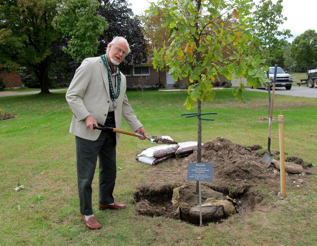 Diamond Jubilee Oaks President John Sellers plants a bur oak to commemorate the Queen s Diamond Jubilee.