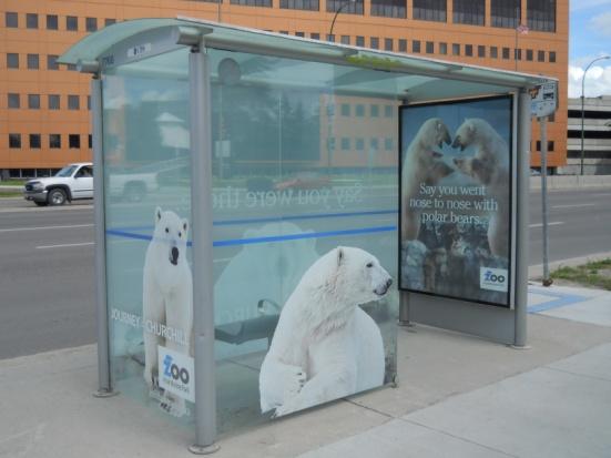 WINNIPEG MEDIA Street Furniture: Transit Shelters Street Furniture provides entry into residential areas sometimes not available to other Outdoor formats, delivering unparalleled reach and