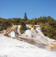 Come and explore a world of gushing geysers, hot springs, bubbling mud pools and some of the largest and most amazing silica terraces in the world.