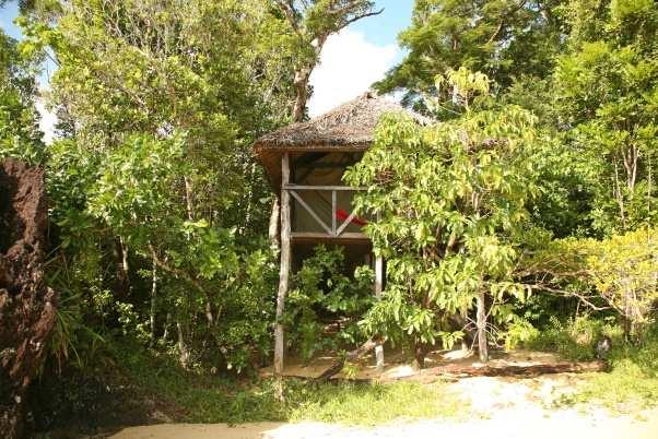 (5) / O/n MASOALA FOREST LODGE, FB. (Including selected drinks) This wonderful and friendly lodge is located adjacent to a golden-sand beach with secondary rainforest behind.