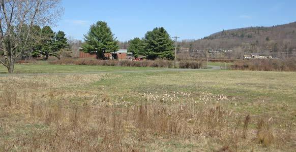Ownership of that land is now divided between the Brattleboro Retreat, the Windham Foundation and the Retreat Farm.