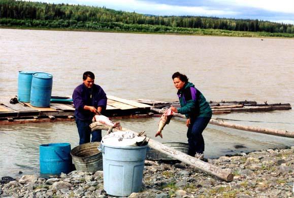 Study Results: Subsistence Impacts Some people are changing