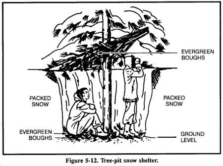 Tree Pit Shelter Easy and quick to build Excavate snow around an evergreen tree well If