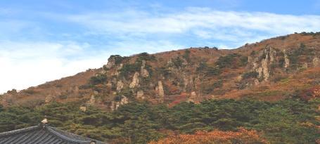 Entrance fees with Discounts for Jeju island