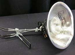 LIGHTING Aluminum Clamp Light with Bulbs (75W to 100W Bulb) $4.00 Tripod Lighting (Dual Halogen) $15.