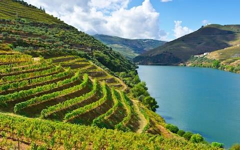 Pictured: The Porto waterfront Day 10: Wednesday, October 11: Douro Valley The Douro Valley is an exceptionally picturesque landscape of terraced hillside vineyards, patches of woodland, and charming
