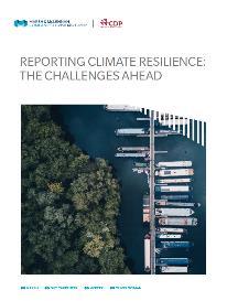 help organizations disclose information on climate-related risks and opportunities in a consistent, comparable, and