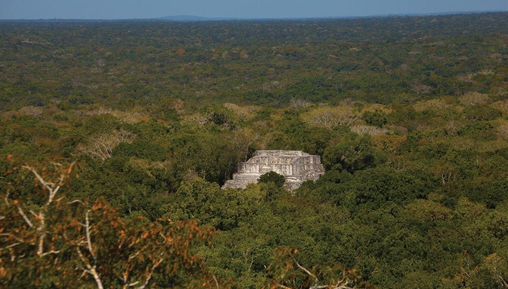 Mexico also lost the environmental services these forests and jungles provide, becoming more vulnerable to climate change and suffering the effects of such degradation.