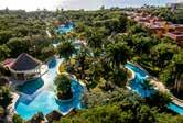 IBEROSTAR PARAISO DEL MAR Experience the tropical oasis, exotic birds, and unlimited adventures of this property with three interconnected pools, a waterfall, a mile of white-sand beach, and seven