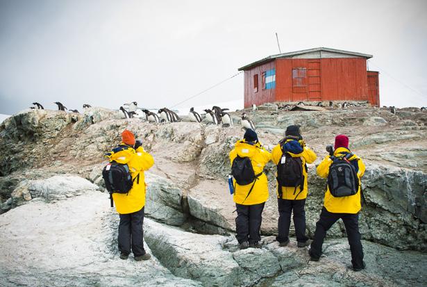 While the exact itinerary changes with each expedition, you will explore several spots that offer the best possible overview of the varied Antarctic environment.