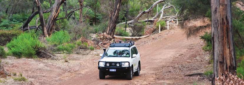 Getting off the beaten track in the Kangaroo Island wilderness Photo: David Evans 1 Day Flinders Chase Nature & Wildlife Day 1 It s not just the wildlife you ll fall in love with at Kangaroo Island,