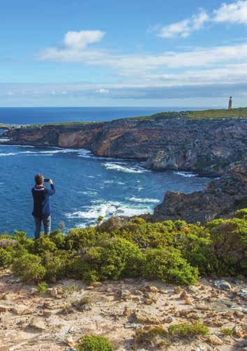 Then arrive at your accommodation at the Kangaroo Island Wilderness Retreat in time for dinner, before retiring to your room.