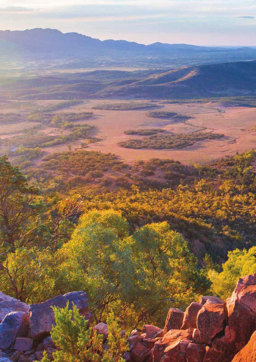 Beyond imagination The Flinders Ranges is a destination like no other in Australia.