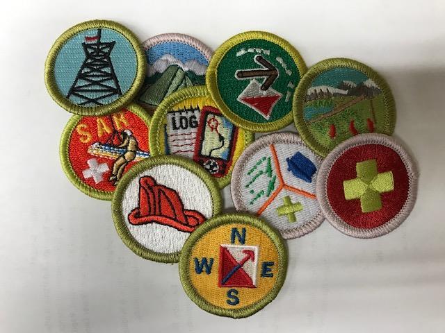 These include, but are not limited to, the Leave No Trace standards of outdoor ethics as well as instruction for unit leaders on how to take their units into the backcountry safely with the Trek